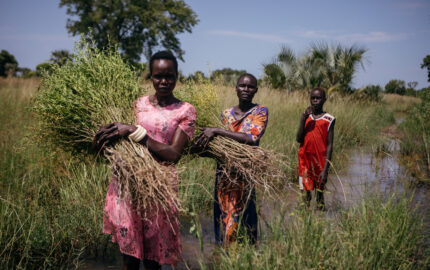 Image for Resilience in South Sudan